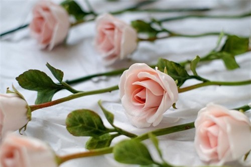 Một cành hoa hồng sứ có giá 4 triệu đồng ngày 8/3