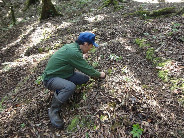 Khen thưởng lực lượng phá án vụ trộm sâm Ngọc Linh
