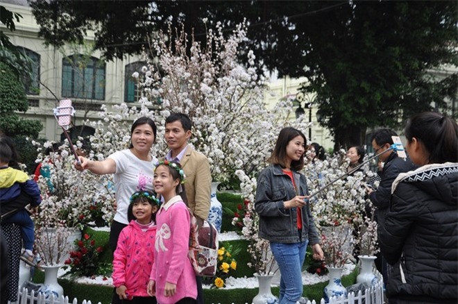 Không ngại mưa phùn, hàng nghìn người dự lễ hội hoa anh đào