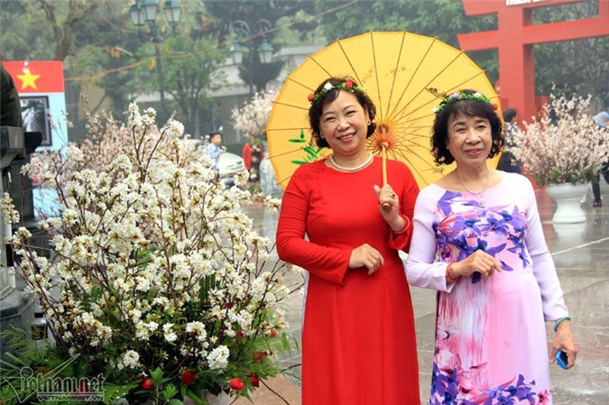 Người dân tạo dáng, ngắm hoa anh đào trong mưa