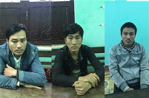 Bắt nhóm thanh niên thuê ôtô vào rừng trộm trâu bò