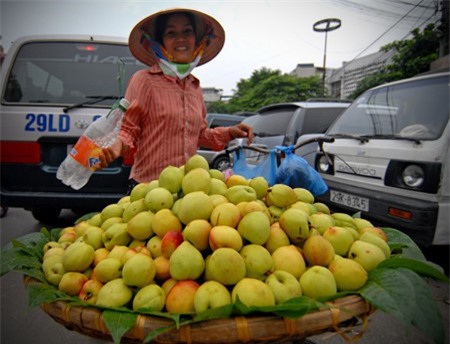 Người Việt chi gần 2 triệu USD mua rau quả Trung Quốc, Thái Lan mỗi ngày