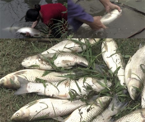 Cận cảnh hiện trường vỡ đập chứa bùn thải ở xí nghiệp thiếc Suối Bắc