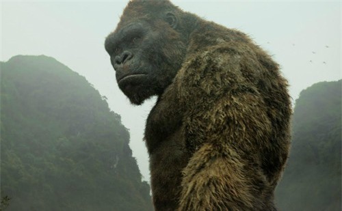 Kong: Skull Island thu gần 143 triệu USD sau 2 ngày ra rạp