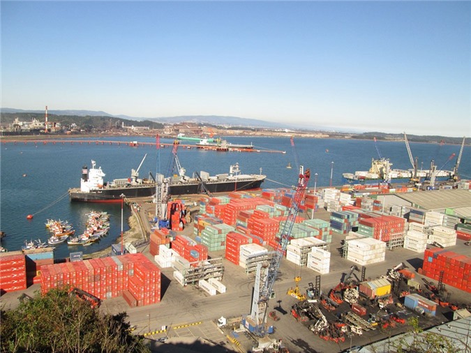 Thanh tra toàn diện việc cổ phần hóa cảng Quy Nhơn