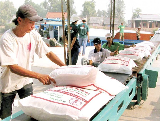 Xin giấy phép xuất khẩu gạo tốn 20.000 USD là không đúng sự thật