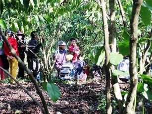 Phát hiện nam thanh niên chết bất thường trong vườn cà phê