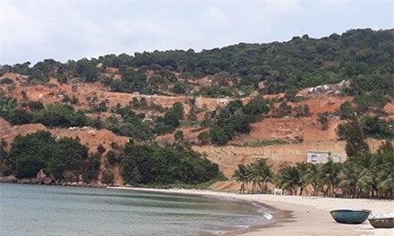 Xây biệt thự trái phép tại bán đảo Sơn Trà: Tin tức mới nhất