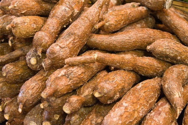 Sắn tươi nhập khẩu vào Việt Nam sẽ bị kiểm soát chặt