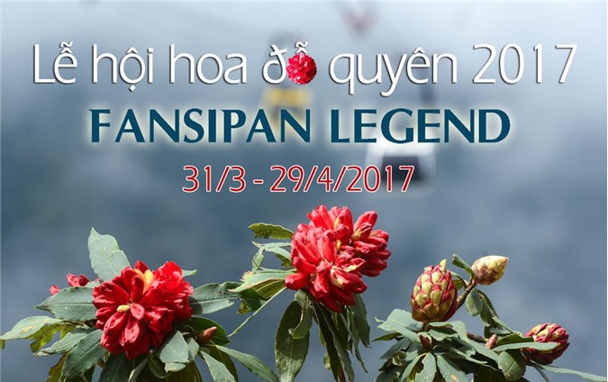 Chơi hết mình tại Lễ hội hoa đỗ quyên 2017