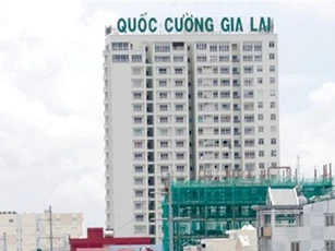 Kế toán trưởng Công ty Cường Đôla xin thôi việc