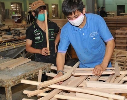 Gỗ Trường Thành bất ngờ giảm lỗ 330 tỷ sau kiểm toán