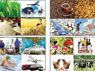 Xuất khẩu nông lâm thuỷ sản tăng 7,6% trong 3 tháng đầu năm
