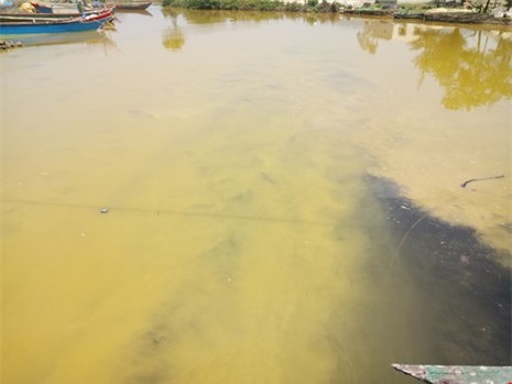 Tiết lộ nguyên nhân nước biển ở Huế có màu vàng