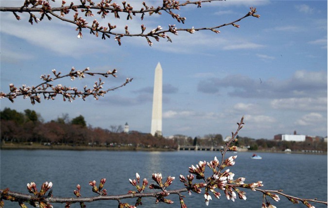 Forbes: Cáo buộc vô cớ của Washington có lợi cho Kremlin