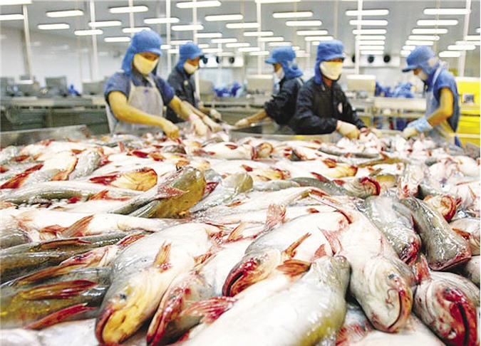 Ai Cập - thị trường tiềm năng của xuất khẩu thủy sản Việt Nam