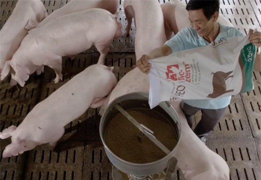 Masan được cấp thêm 250 triệu USD từ đối tác ngoại