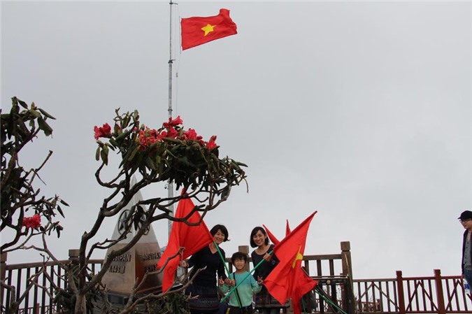 Tín đồ du lịch rủ nhau lên Fansipan ngắm hàng ngàn cây đỗ quyên