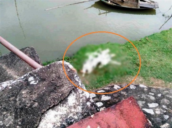 Chụp ảnh trên cầu, nữ sinh bị tàu tông rơi xuống sông tử vong