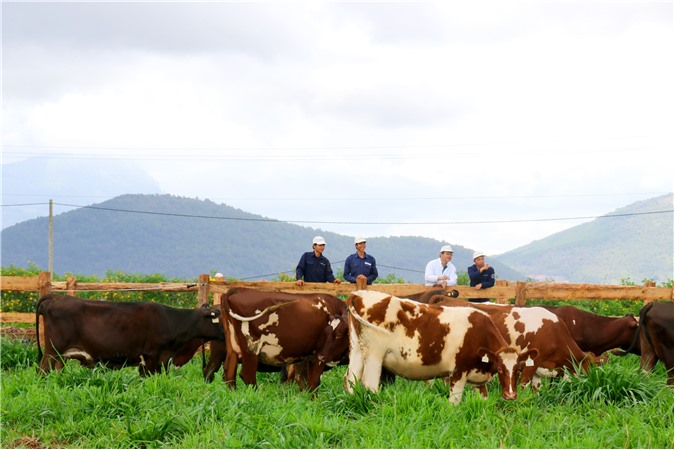 Vinamilk chung tay phát triển ngành sữa Việt Nam