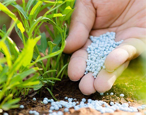 Xử phạt 850 triệu đồng vi phạm sản xuất, gia công phân bón