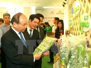 Thủ tướng Nguyễn Xuân Phúc: Thái Bình phải giàu có, dựa vào nông nghiệp
