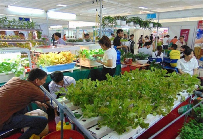 Xác nhận 227 chuỗi sản phẩm cung ứng thực phẩm an toàn 