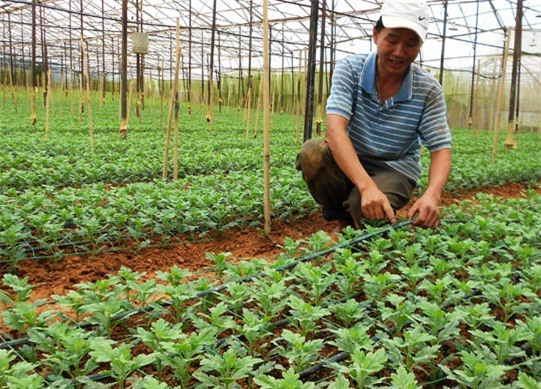 Cải cách nông nghiệp là then chốt thúc đẩy tăng trưởng kinh tế Việt Nam