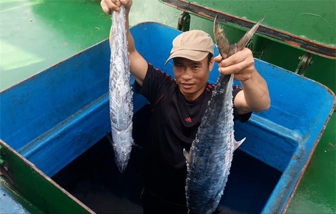 Ngư dân Hà Tĩnh bội thu ''lộc trời'' khi tàu vỏ thép ra khơi