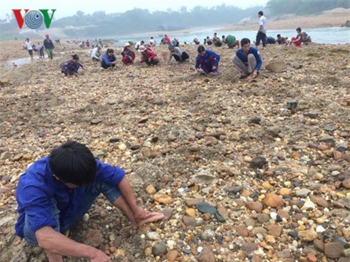 Người dân Phú Thọ đua nhau đi đào “đá quý” trên sông Chảy