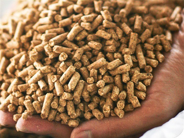 Việt Nam chi 10 triệu USD nhập thức ăn chăn nuôi mỗi ngày