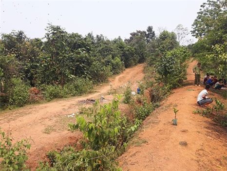 Truy nã nghi can vụ cô gái chăn bò bị sát hại trong rừng