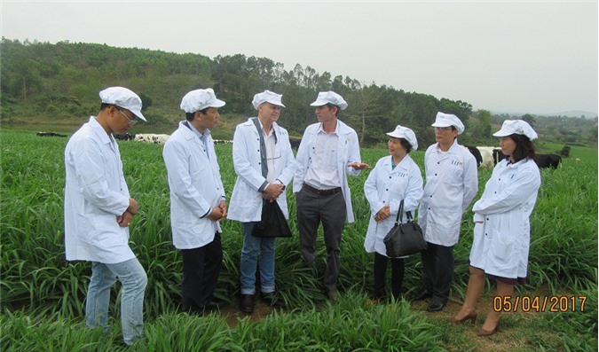 Chuyên gia thế giới, Việt Nam bàn về sự tử tế với mẹ đất