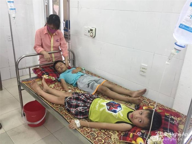 Ăn quả ngô đồng, hơn 50 học sinh nhập viện cấp cứu