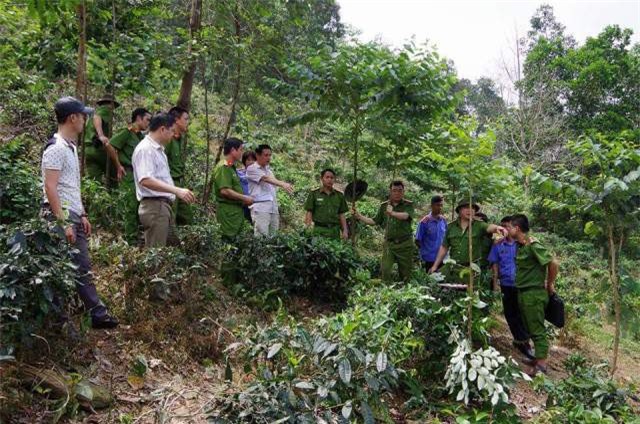 Giết người, trói vào gốc cây: Tình tiết mới nhất