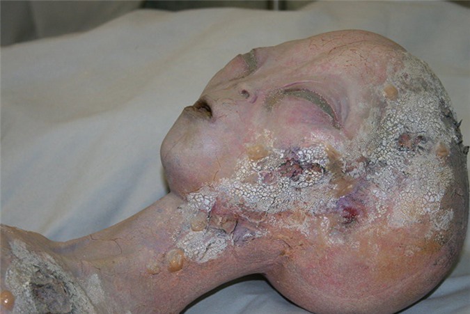 Tỷ phú người Nga và kết quả tìm kiếm người ngoài hành tinh