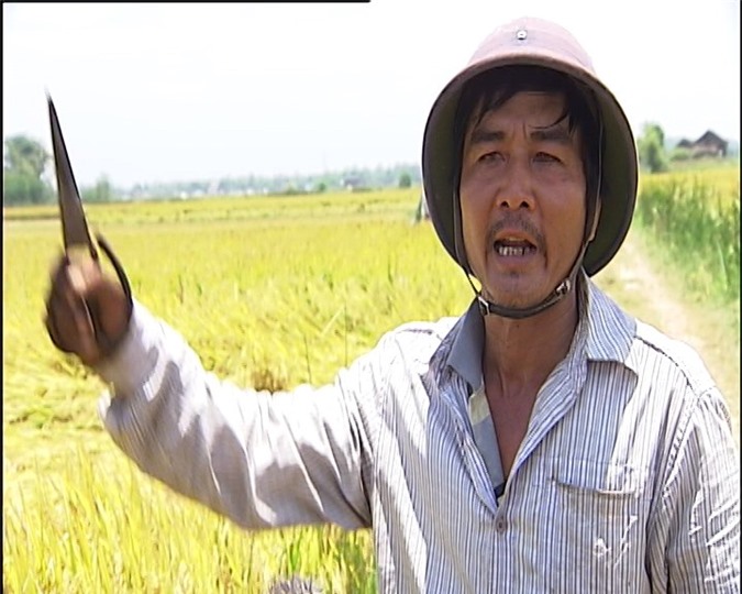 Quảng Ngãi: Dân điêu đứng vì chính quyền cho máy gặt lúa độc quyền