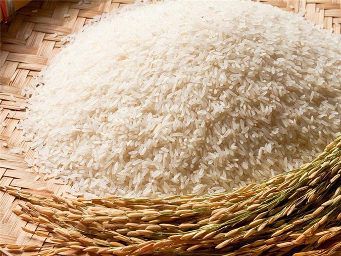 Báo cáo Thủ tướng Đề án chiến lược phát triển thị trường xuất khẩu gạo 