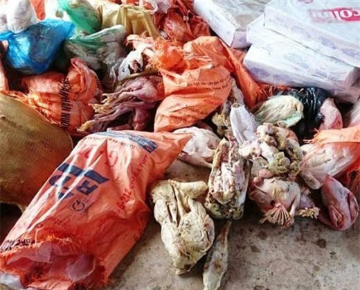 Bắt giữ hơn 1 tấn thực phẩm quá hạn tại HTX Hà Hương