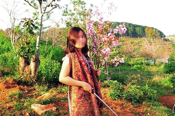 Kỷ luật Đảng nữ phó giám đốc Sở Tư pháp bẻ hoa anh đào