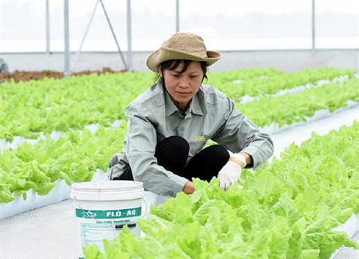 Giảm lãi suất cho vay 0,5-1,5% cho nông nghiệp công nghệ cao