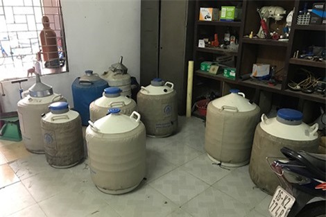 Ngang nhiên bán bóng cười cho dân chơi ở Hà Nội