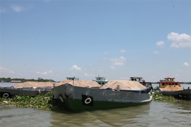 Tạm giữ 9 sà lan chở hàng nghìn mét khối cát lậu trên sông Hậu