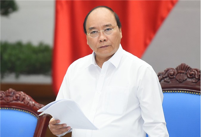 Thủ tướng đề nghị làm rõ nguyên nhân giá lợn thấp kéo dài