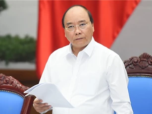 Thủ tướng đề nghị làm rõ nguyên nhân giá lợn thấp kéo dài