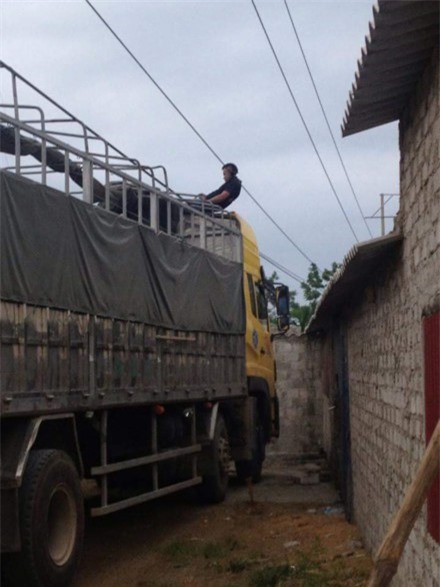 Hoảng hồn phát hiện thi thể treo trên dây điện nhiều giờ