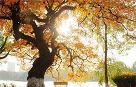 Nắng nóng vẫn bao trùm miền Bắc