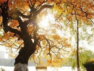 Nắng nóng vẫn bao trùm miền Bắc