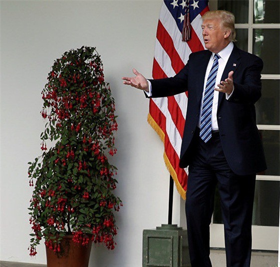 Các kênh truyền hình hàng đầu từ chối quảng cáo thành tựu của Trump