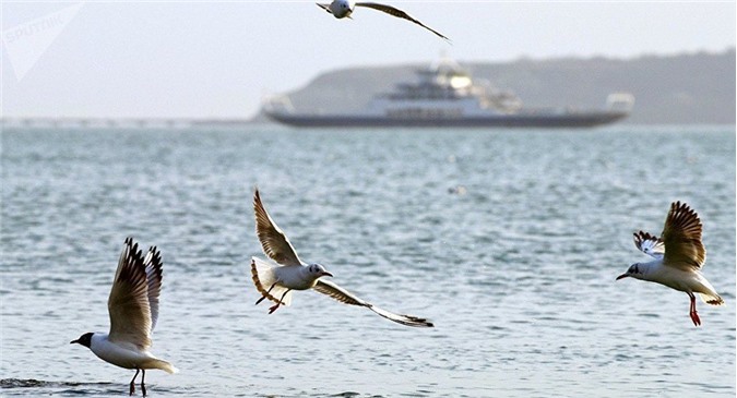 Canô của Ukraina đã gì ngoài khơi bờ biển Crưm?